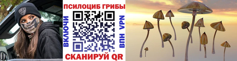 blacksprut ТОР где продают shop состав Псилоцибиновые грибы Magic Shrooms Пучеж
