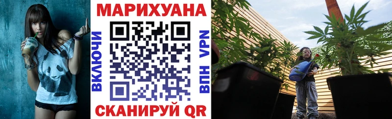Бошки марихуана планчик  Пучеж 